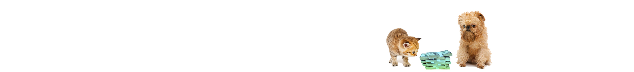 Arcadia paper shape representing settlement security