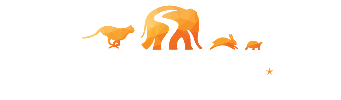 Settlements Institute Logo